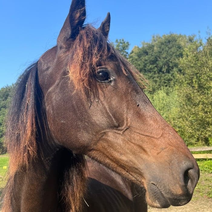 Media 1 av I'm Special Carisma
