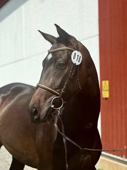 Bild av Häftig 3-åring