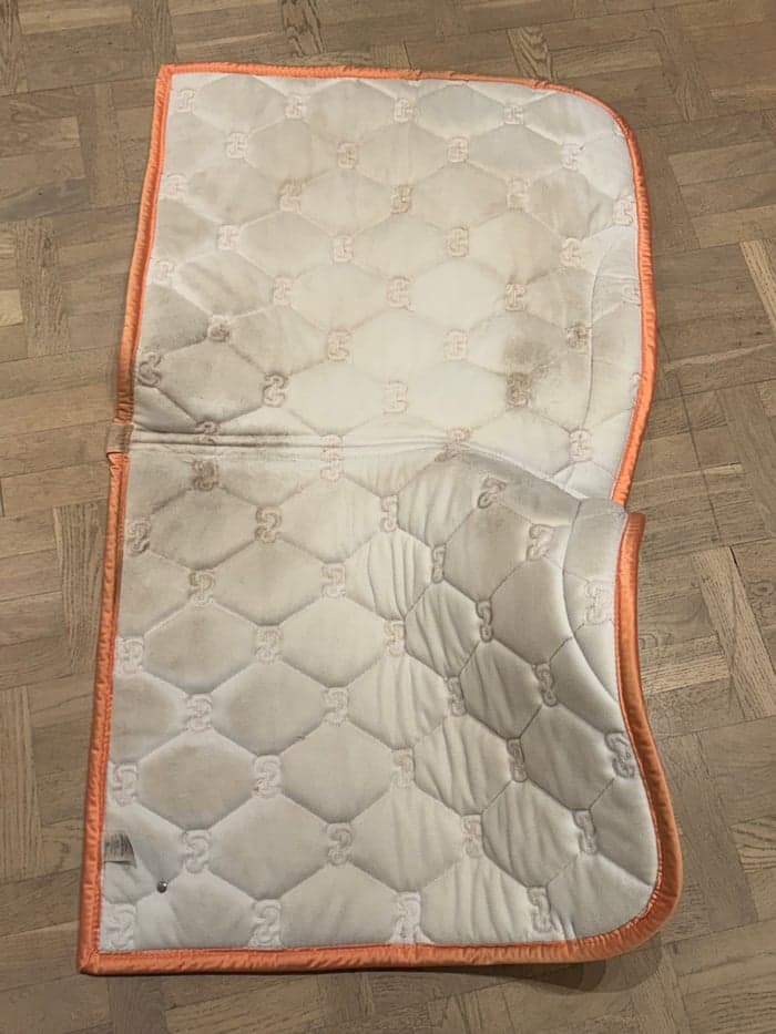 Media 4 av Persikofärgat dressyrschabrak från PS 