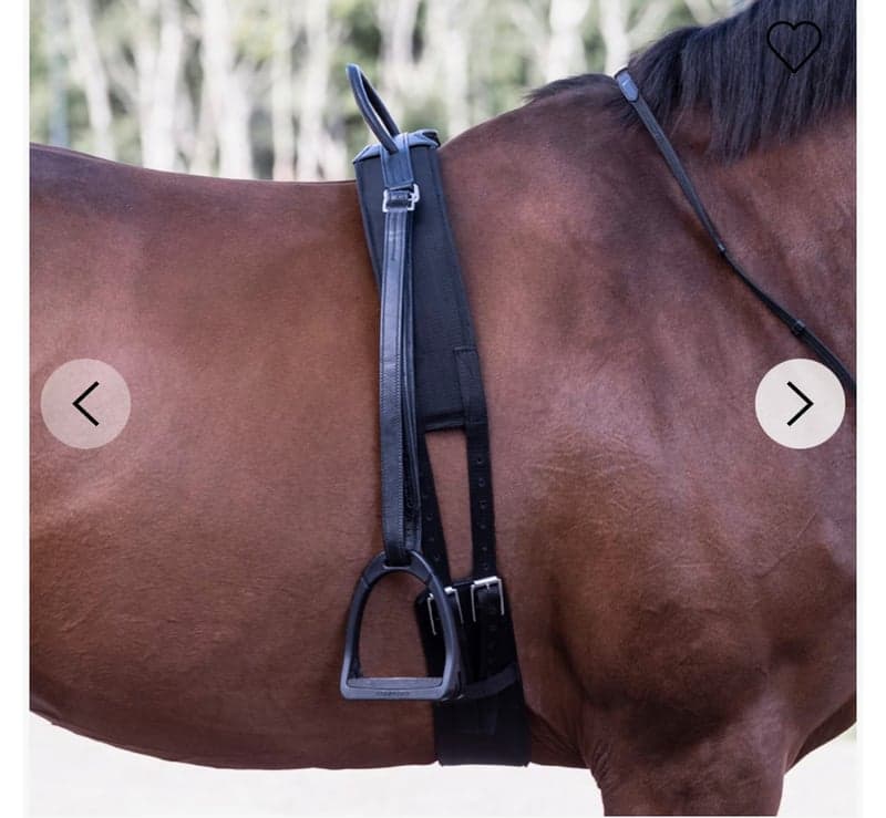 Bild 3 av Svart barbackagjord