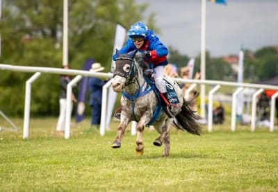Ponnygalopp 