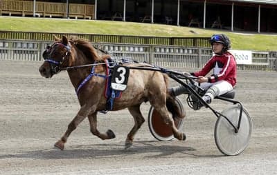Inlägg 81 av Trav med titeln Ponnytrav 