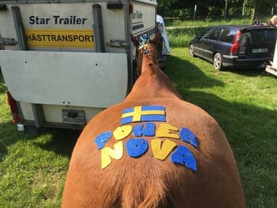 Inlägg 16 av Galopp med titeln Nova & Annie tävlade sm kategori C🇸🇪❤️