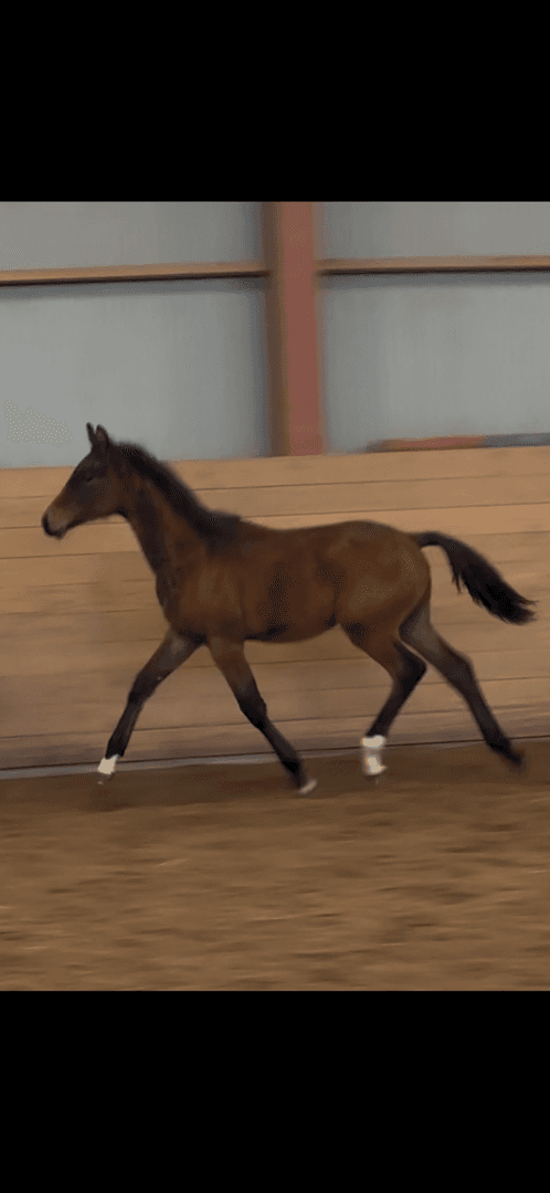 Bild 3 av Diamonds Eternity LH