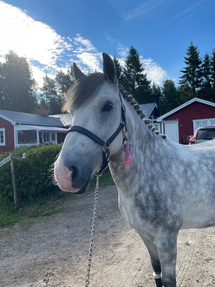 Media 1 av Alfie's Treasure