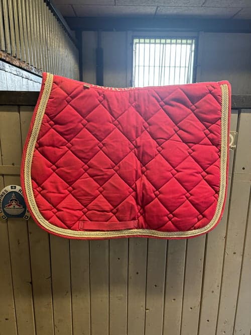 Image of Rosa schabrak 