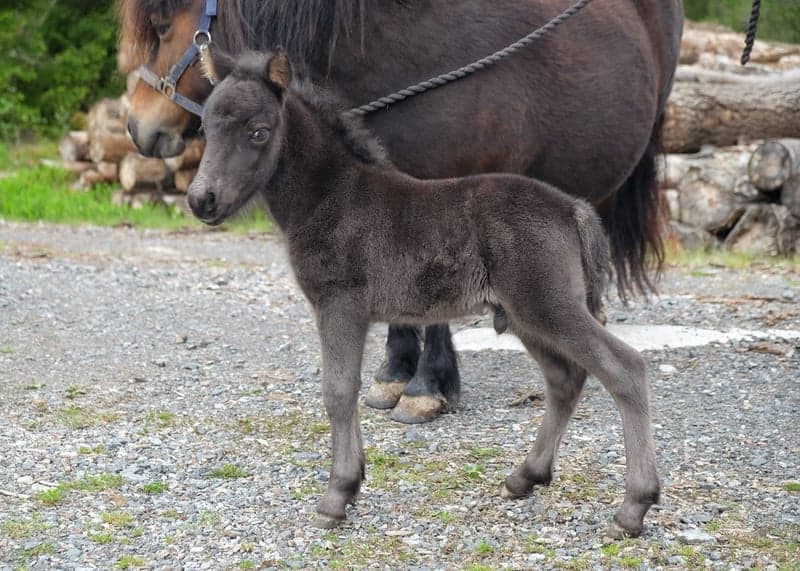 Bild 3 av Furunäs Design