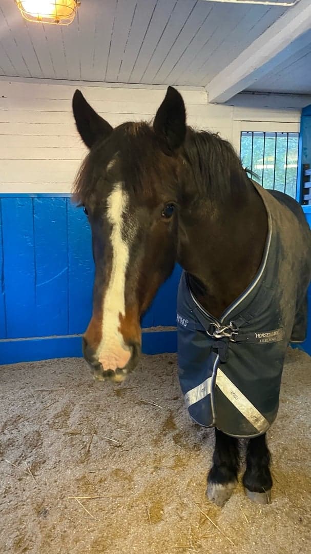 Media 1 av Lady Of The Moy