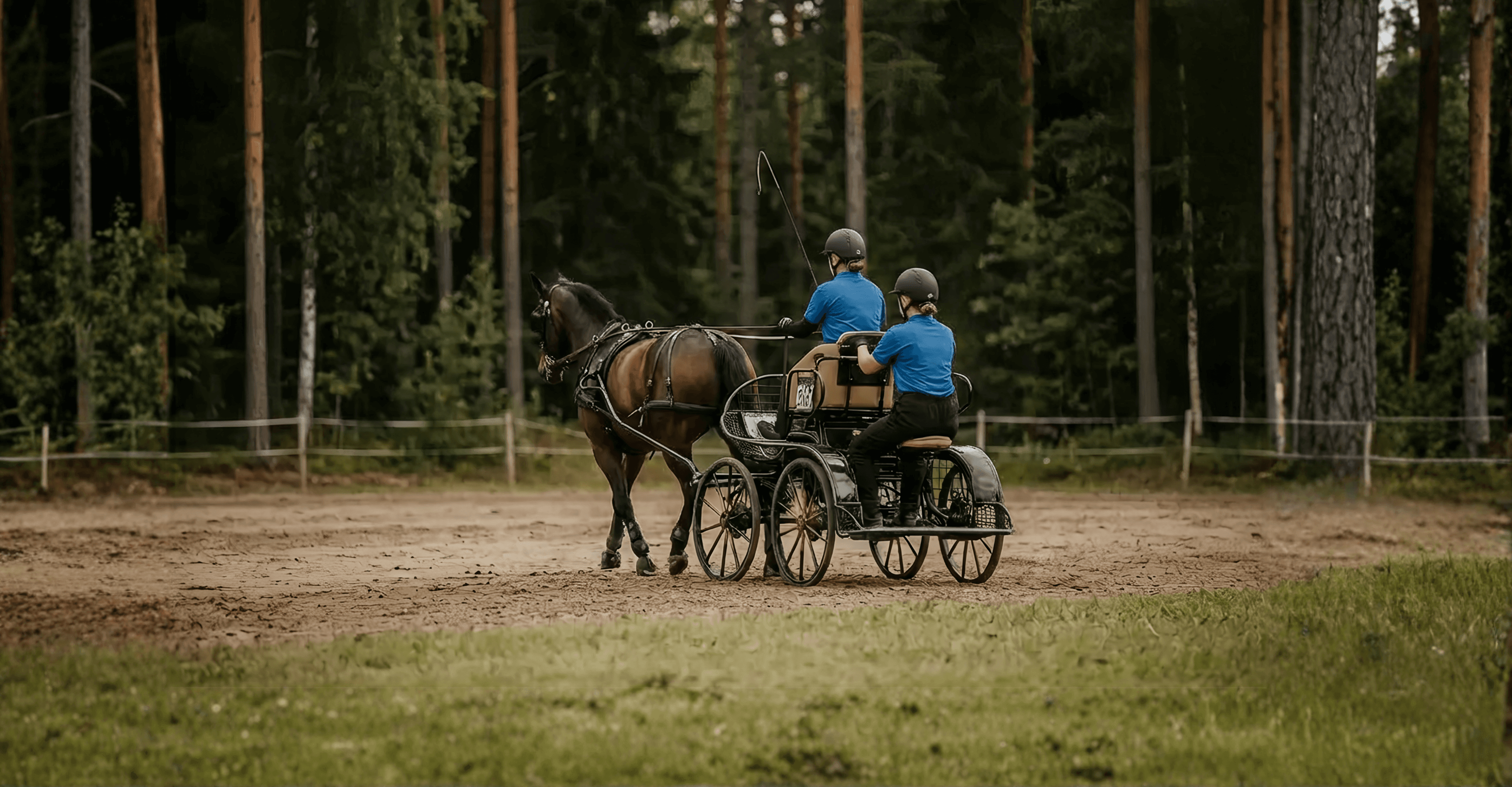 Bild av Sportkörning