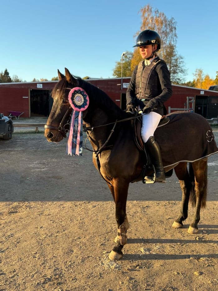 Media 1 av Ponny med power!