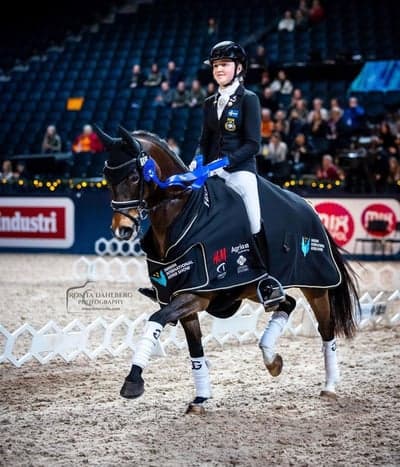 Inlägg 14 av Dressyr med titeln SIHS 2022🇸🇪