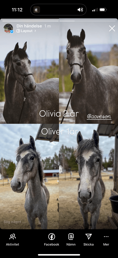 Bild 2 av Olivier blue