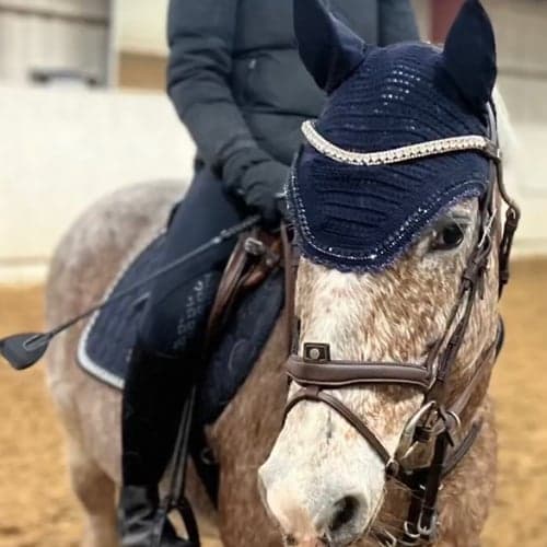 Profilbild av Filippa Forsberg