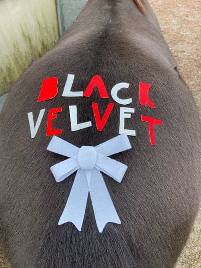 Inlägg 10 av Galopp med titeln Velvet var även hon väldigt fint pyntad😍