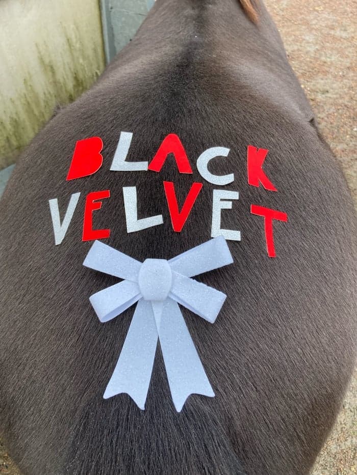 Media 4 av Black Velvet Of Lady's