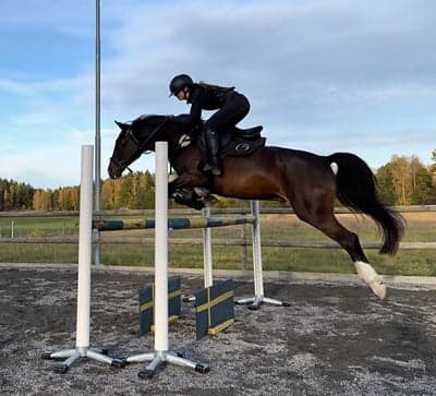 Inlägg 26 av Allround