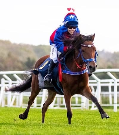 Inlägg 87 av Galopp med titeln Fina Duenna🏇🏼🐴🥰