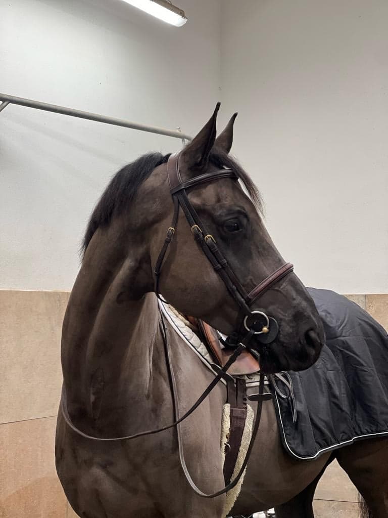 Bild 4 av Django Unchained Z