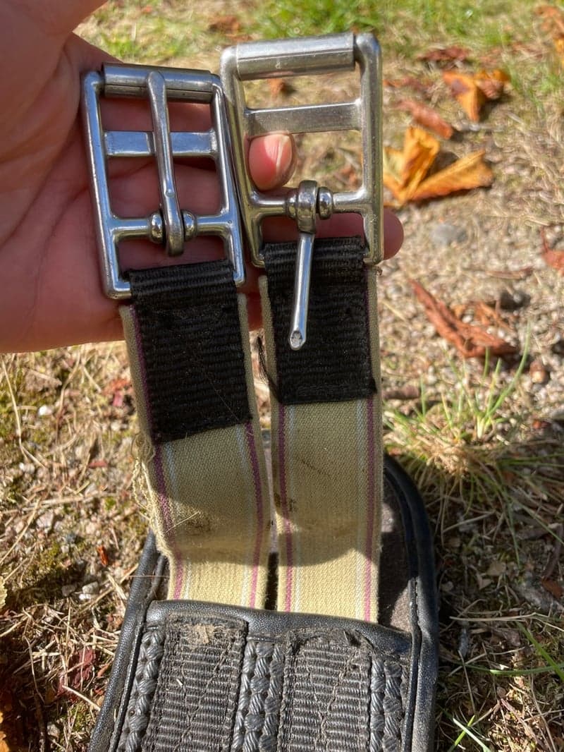 Bild 2 av Svart girth