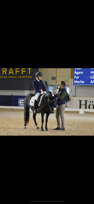 Inlägg 7 av Dressyr med titeln Bränningens Stina 