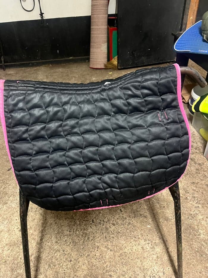 Media 4 of Rosa schabrak