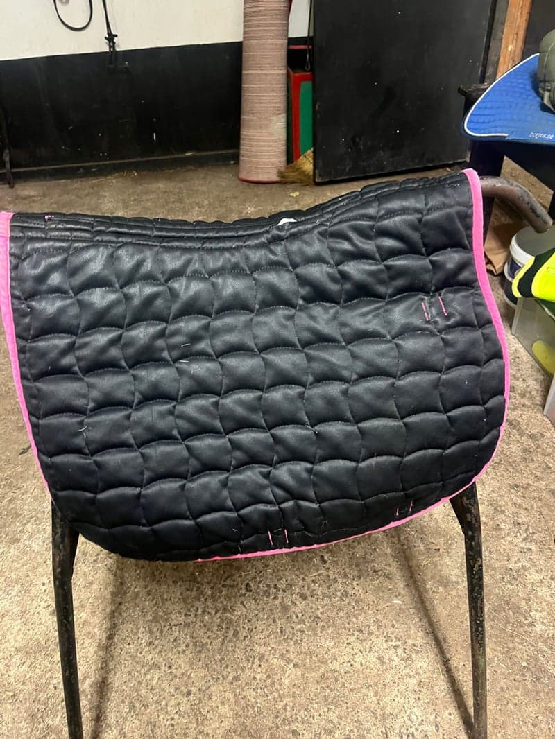 Image 4 of Rosa schabrak