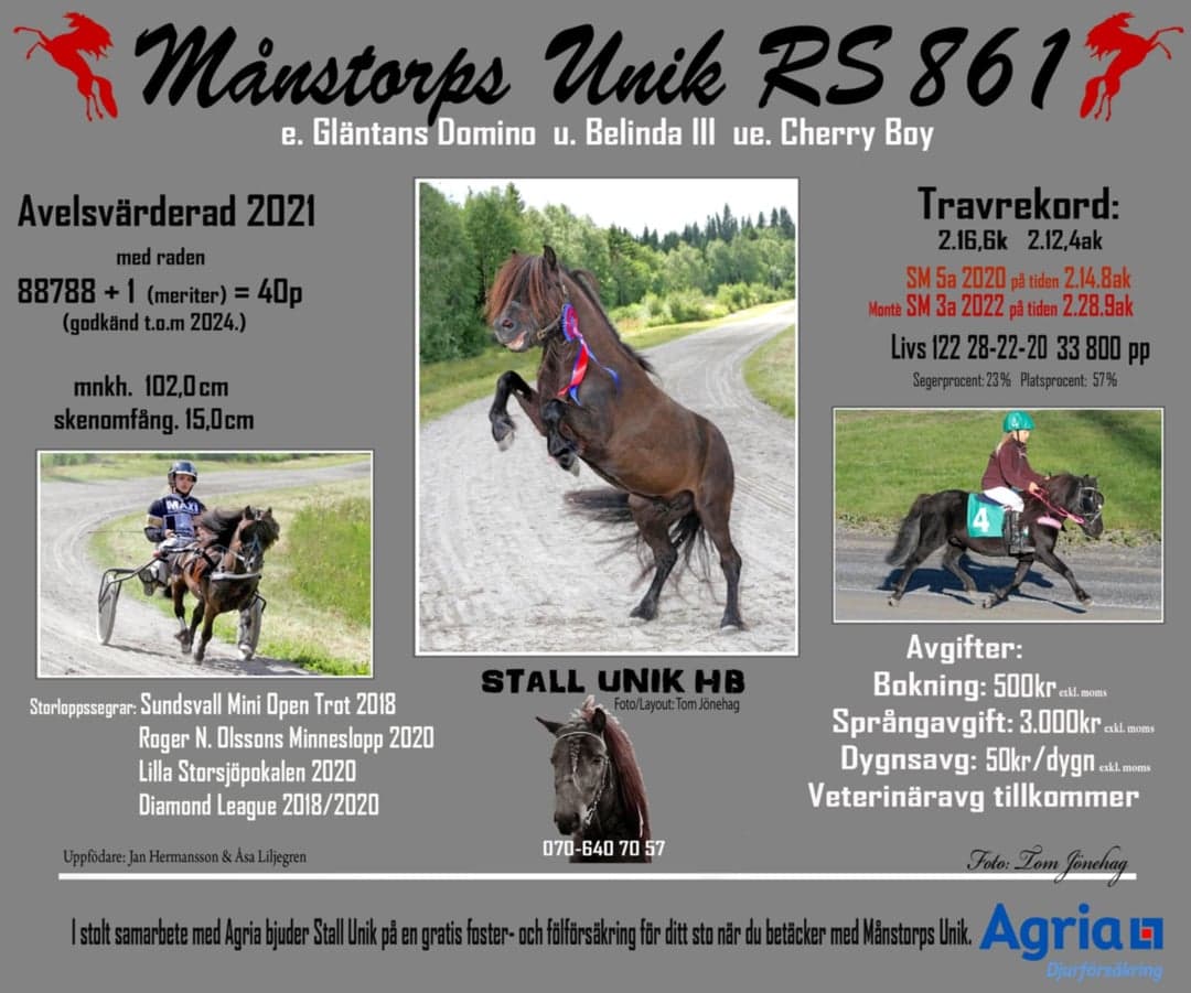 Bild 1 av Avelshingst