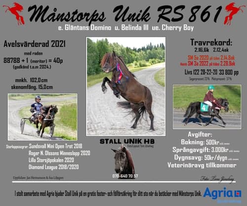 Bild av Avelshingst