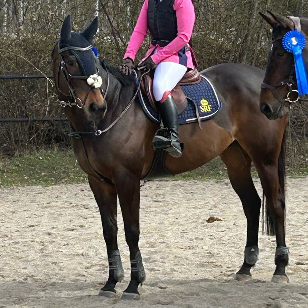 Bild 1 av Vestamare