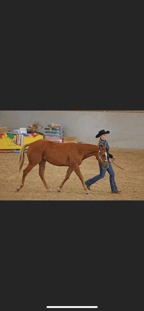 Bild 1 av CBS Micro Marion