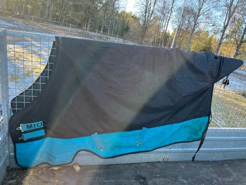 Bild av Horseware Mio utetäcke 200gram 
