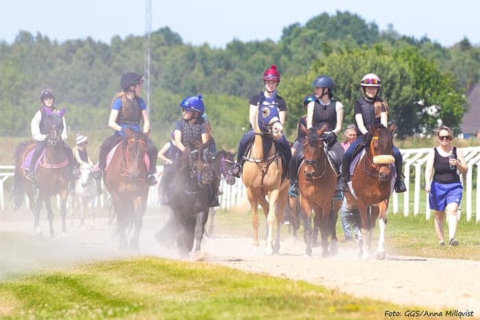 Media 3 av Ridläger med fokus på ponnygalopp – öppet för nybörjare