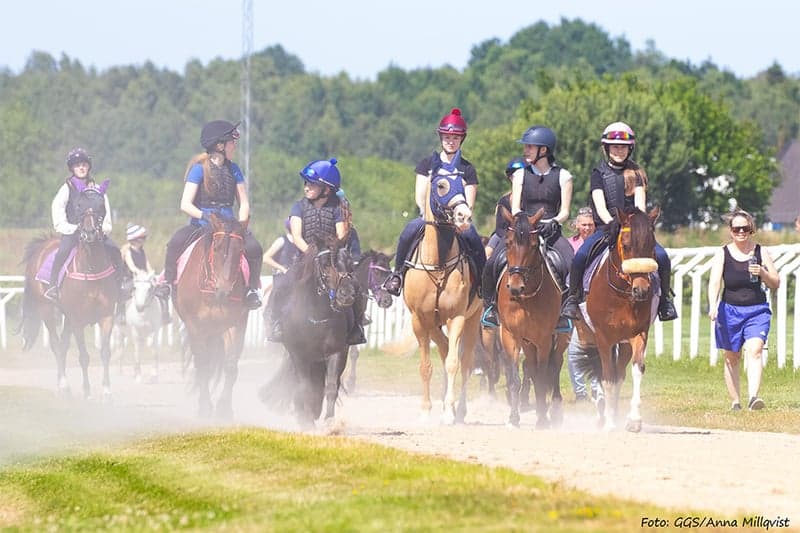 Bild 3 av Ridläger med fokus på ponnygalopp – öppet för nybörjare