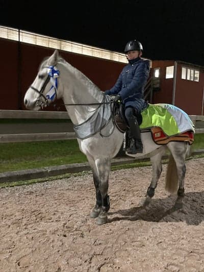 Inlägg 273 av Hoppning med titeln P&J igår