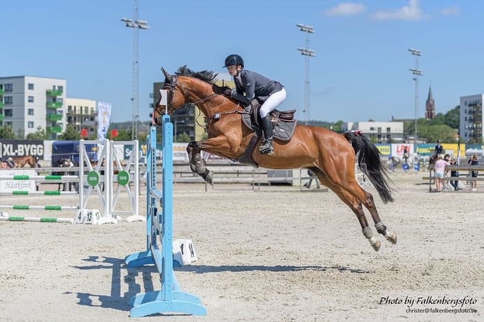 Media 1 av Bellatrix (55) (SWB)