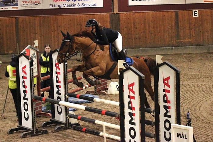 Media 4 av Noor-Saille