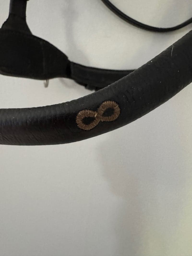 Bild 3 av Dy’on bettlöst träns