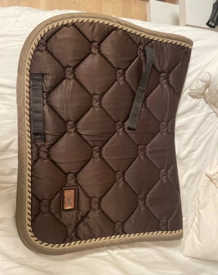 Media 1 av Brunt schabrak 