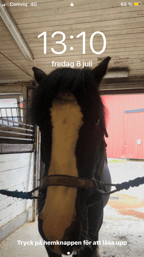 Bild 1 av placeholder text