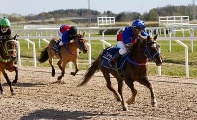 Ponnygalopp 