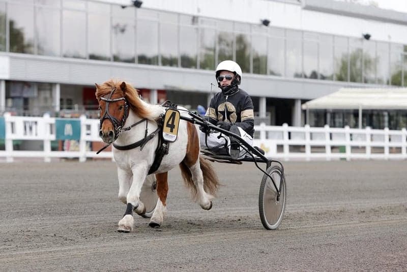 Bild 2 av Hagstads Raket