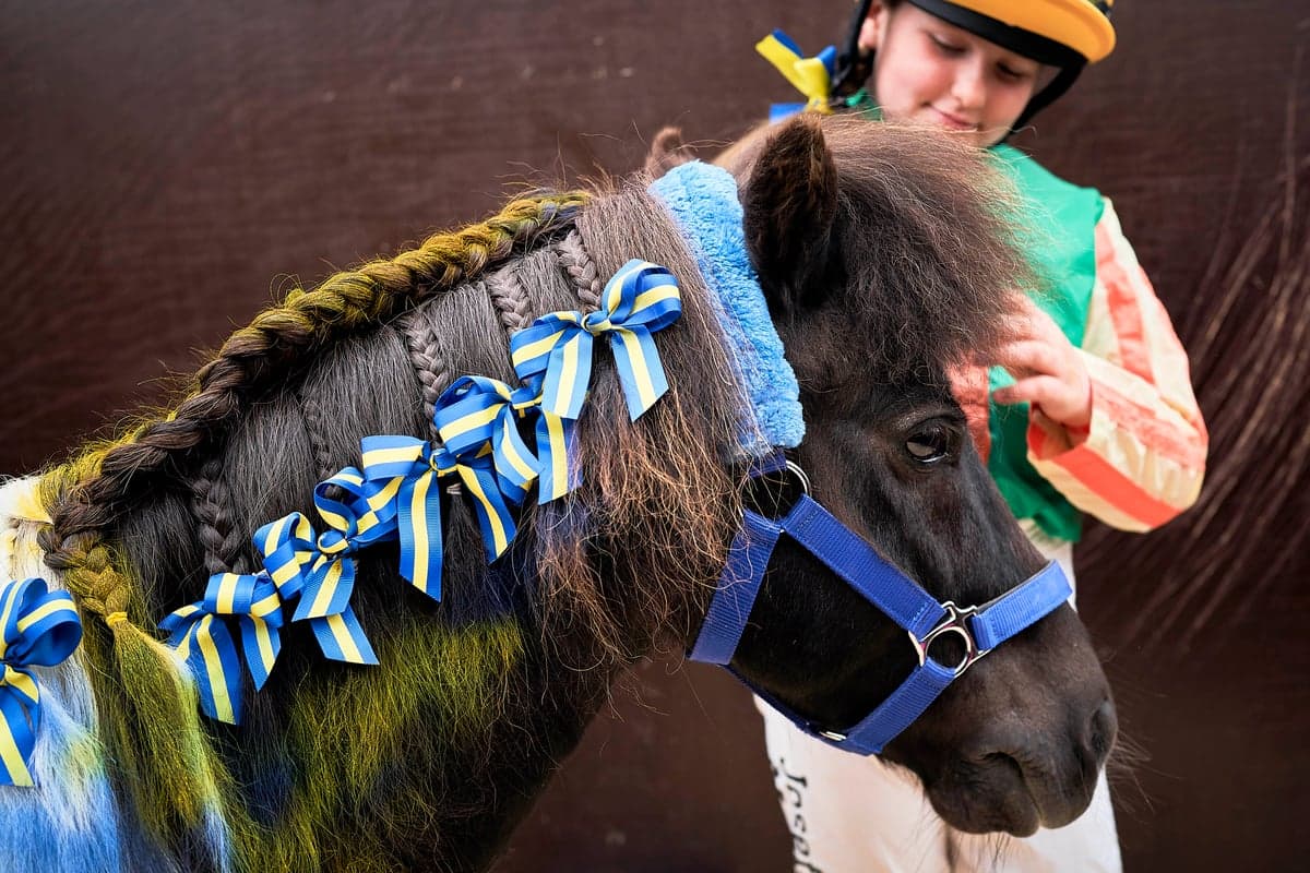 Bild 1 av 🇸🇪 Upplev SM i ponnygalopp på nationaldagsgaloppen på Gärdet!