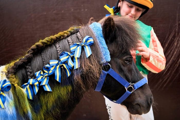 Media 1 av 🇸🇪 Upplev SM i ponnygalopp på nationaldagsgaloppen på Gärdet!