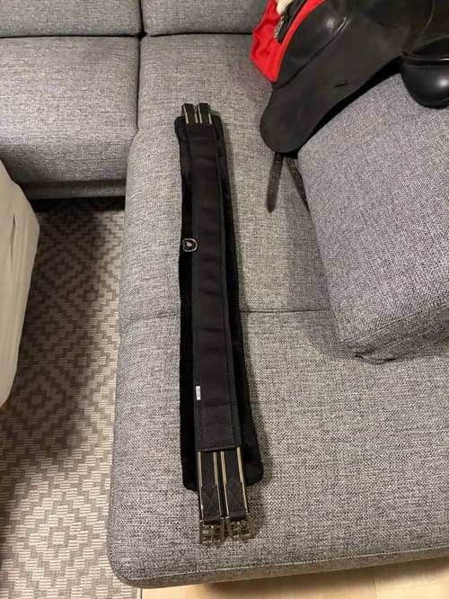 Bild av Svart sadelgjord