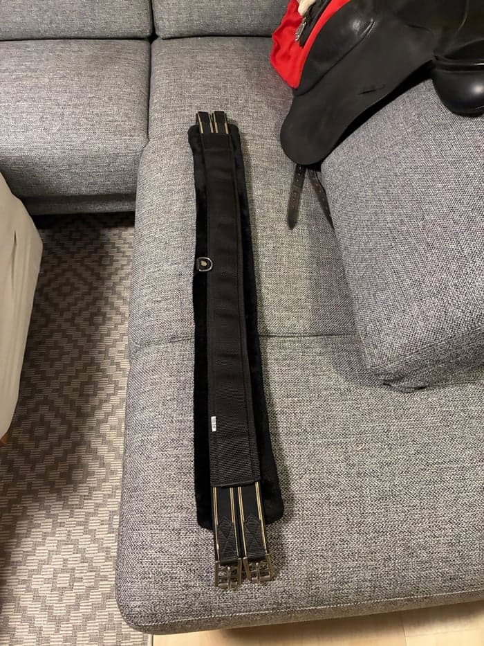 Media 1 av Svart sadelgjord