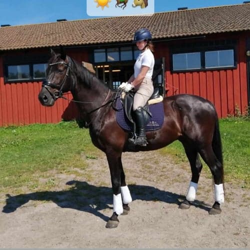 Profilbild av Juliana Stiernblad
