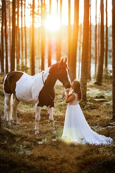 Inlägg 53 av Allround