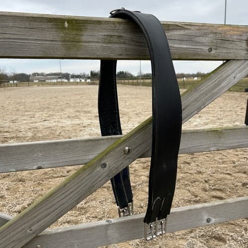 Bild av Svart sadelgjord