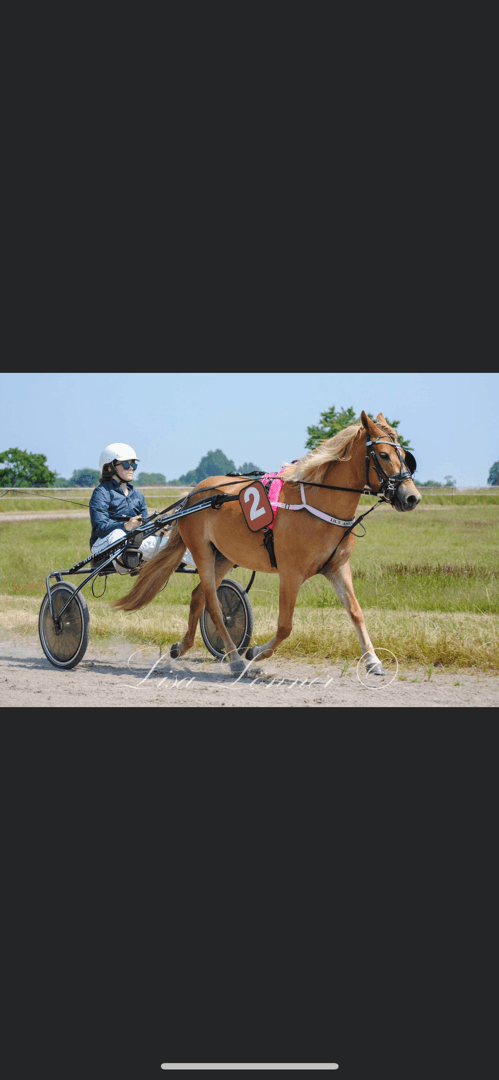 Bild 1 av placeholder text
