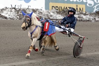Inlägg 89 av Trav med titeln Ponnytrav 
